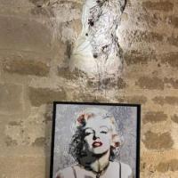 Img 7486