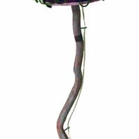 Lampe rose