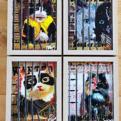 Les chats sur plexiglass 4 cadres 21x27 cm