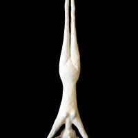 Sirsasana